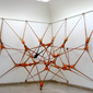 net no.5