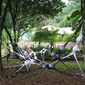 net no. 19