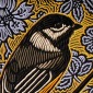 Black Capped Chickadee