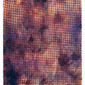 Blanket of Discomfort 2