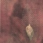 Darned Still-life