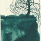 The tree of my hometown