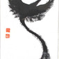 Flying Phoenix