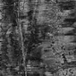 Bat Yomkin