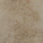  Last Judgment V.8