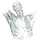 Life Drawing: Skeletal/Muscle