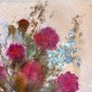 " Fiori rossi "