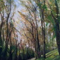 daylesford 