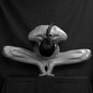 The body concept