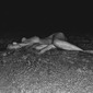 photo01