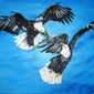 Eagle Fight