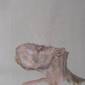 acrylic on canvas by Caio Fern 2010