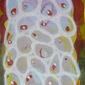 desequilibrium 2011
