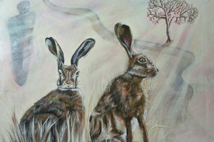 Liz Shewan