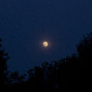 Blue Moon