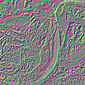 Abstract fish