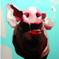 'Study of a Pig's Head'