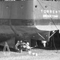 Below the waterline