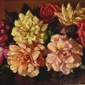 Annemarie Holloway