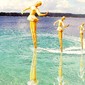Aquatic Dance