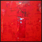 Shawn Mcnulty