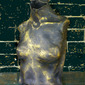 torso