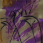 Marie Ackers