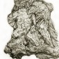 Dream Rock