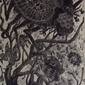 Kriangkrai Kongkhanun