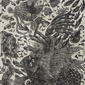 Kriangkrai Kongkhanun