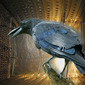 Black Crow