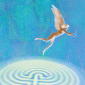 Icarus 