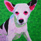 A Pink Dog