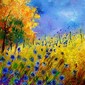 Cornflowers and orange tree