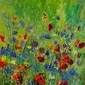 wild flowers 560121