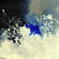 Abstract 8811301