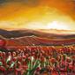 poppy fields