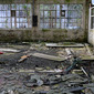 Feral Buildings 5