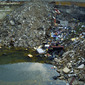 Wasteland 1
