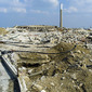 Wasteland 6