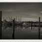 The Jersey Shore