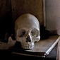 Still Life 8932 Version2