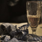Still Life 2783
