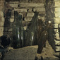 Still Life 3334