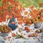 Apples and Oranges