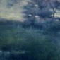 Marsh's Edge