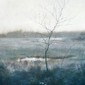 Lone Swamp Maple