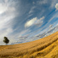 Open Skies