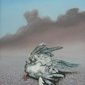 dead bird,seagull