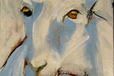 Collection sheep with attitude; created by Pat Bell